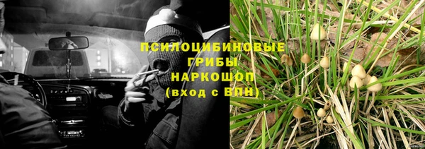 прущий лед Аркадак