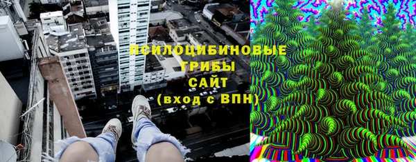 apvp Арсеньев
