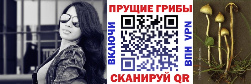 цены наркотик  Петухово  Галлюциногенные грибы GOLDEN TEACHER 